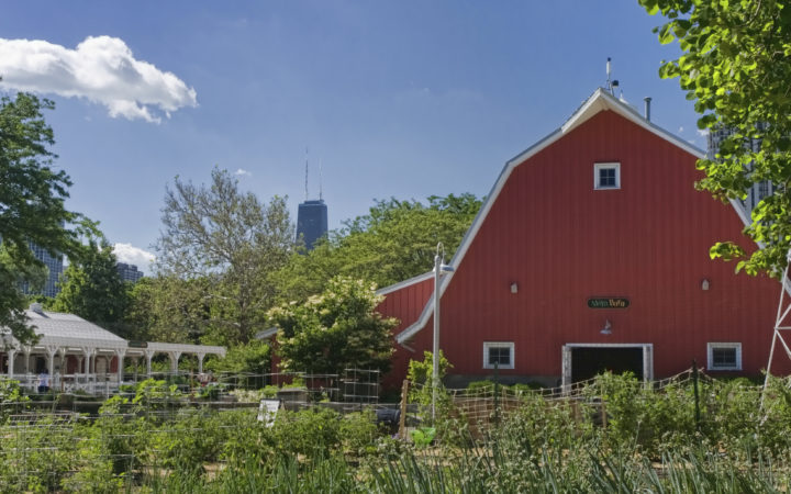 Real Estate Market Update Lincoln Park Chicago