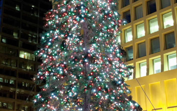 weekend events in Chicago November 17-20