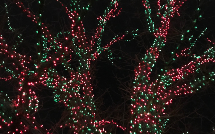 Weekend Events in Chicago December 1-6