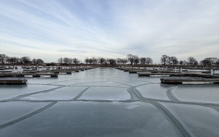 diversey harbor frozen over