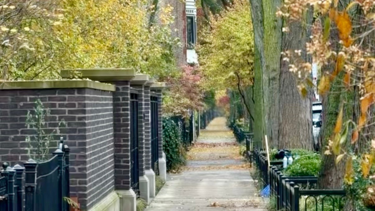 Condo buildings on a tree-lined Lincoln Park street in Chicago