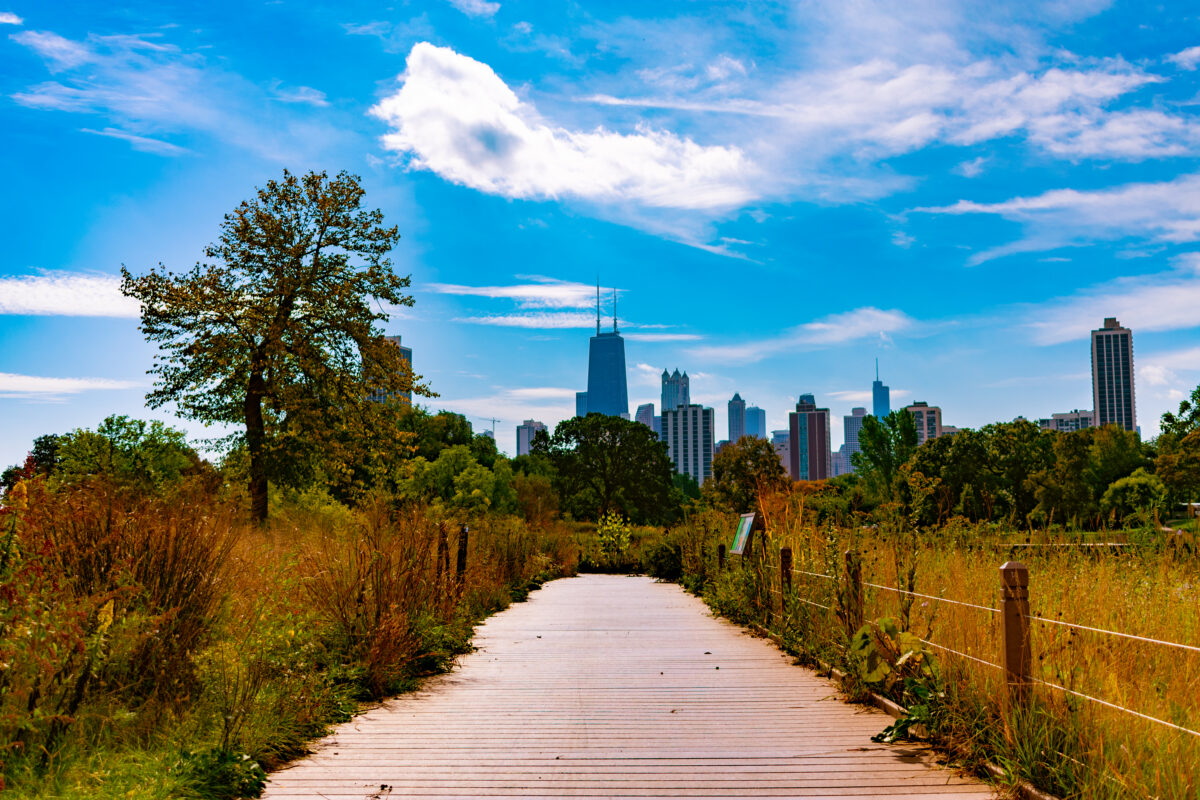 Chicago, Lincoln Park's south-pond-nature-boardwalk-with-skyline-fall
