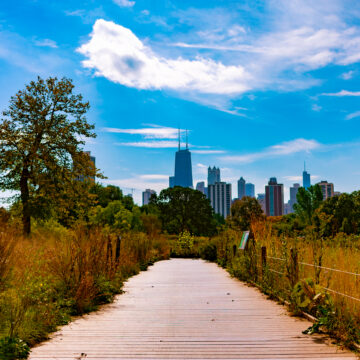 Chicago, Lincoln Park's south-pond-nature-boardwalk-with-skyline-fall