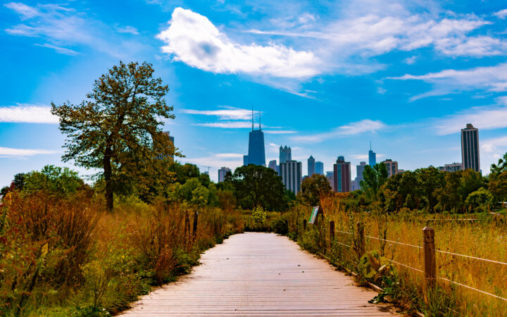 Chicago, Lincoln Park's south-pond-nature-boardwalk-with-skyline-fall
